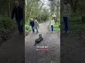 Download Lagu Her dog was off the leash at the park! 😱