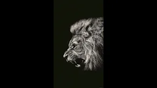 اجمد فيديو ليه اغنيه اسد وضبع وديب ما تنسوش الاشتراك في القناه و تفعلوا زر الجرس عشان يوصلك كل جديد دندنها