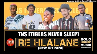 tns tigers never sleep re hlalane new hit 2020 