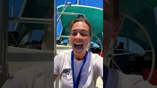 Update! Dinghy UPGRADES #sailing #travel #boating #liveaboard