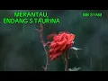 Download Lagu MERANTAU,ENDANG S TAURINA mp3