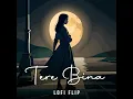 tere bina (Lofi Flip)