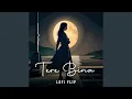 Download Lagu tere bina (Lofi Flip)