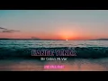 Hande Yener - Bir Gideni Mi Var (Yıldırım Erşahin Remix) Afro House