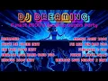 Lagu DJ DREAMING – Funkot 2000’s Nonstop Dugem Party 🔥 VDJ INSOMNIA