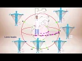 ECG Interpretation For Beginners Different Leads and Axis Deviation