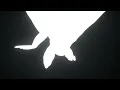 Goosebumps (Remix - Official Visualizer) - Travis Scott & HVME