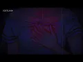 José José - El Amar y el Querer (Letra/Lyrics)