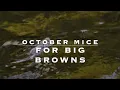 Download Lagu October Mice for Brown Trout
