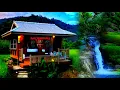 Download Lagu Musik Tingklik Bali, Jangi Janger Dengan Suara Burung Dan Panorama Air Terjun