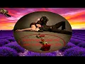 Download Lagu ZELJKO BEBEK-VECERAS SI LIJEPA (TEKST)