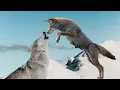 Wolf vs Coyote fight - Wolf vs Coyote comparison