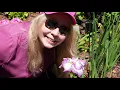 Planting a Lion King Japanese Iris