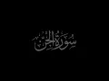 Download Lagu Surah Al Jinn 72 gereciteerd door Muhammad Siddeeq al Minshawi Mujawwad