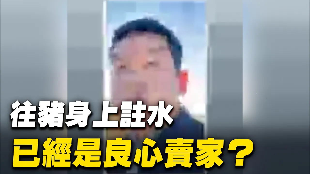 大陸屠宰場黑幕。視頻者：往豬身上註水已經是良心賣家。| #大紀元新聞網