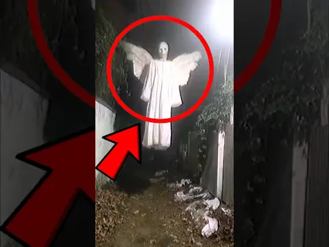 We Thought It Was an Angel... We Were Wrong! 😱