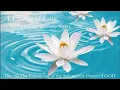 32 The Forty Days and Forty Nights Day 32 The Experience of the Self and the Power of God