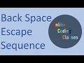 Back Space Escape Sequence in c