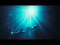 Download Lagu ARTBAT \u0026 AVALAN ROKSTON - The Ocean (Official Video)