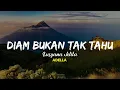 Download Lagu Lusyana Jelita ADELLA | DIAM BUKAN TAK TAHU (Lirik) lyrics