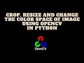 Crop resize and change the color space of an image using OpenCV in python