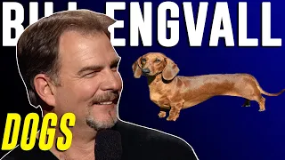 Download Bill Engvall - Dogs MP3