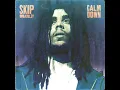 Calm Down - Skip Marley