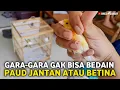 Download Lagu BELI PAUD JANTAN DIRAWAT 8 BLN TERNYATA JADI BETINA‼️SAYA YG UNTUNG HEHE