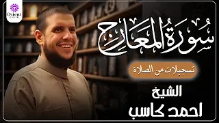                                                                                            دندنها