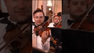 מוטי שטיינמץ יעקב שוואקי בחופה במנהטן בליווי תזמורת פריילאך עם 30 נגנים ומקהלת שירה 