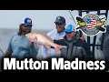HUGE Mutton Snapper in the FLORIDA KEYS