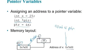 Gaddis C Chapter 09 - Pointers