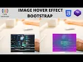 Image Hover Effect using Bootstrap 4 and CSS 3 Bootstrap 4 Code Generator