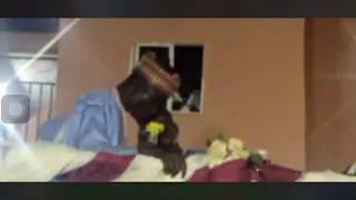 wa azin kasa agarin kaduna tareda sheikh abdullahi mai filani ratarata