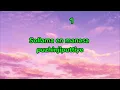 Chillanjirukiye | Karaoke with lyrics | Lubber Pandhu