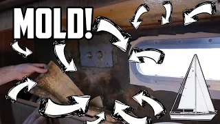 Sail Life – Sanding, mold & Dymo Rhino 4200 – DIY sailboat refit