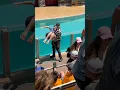 Download Lagu Don't do that with the kid, Tom! 🤯 | SeaWorld Orlando