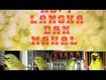 Download Lagu 5 JENIS PLECI YANG SERING DI PELIHARA SAHABAT STASIUN BURUNG !!!! NGILER NO.1