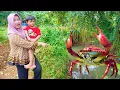 Lagu ViIRAL‼️MUNCUL KEPITING RAKSASA DI KALI 😱 DEKAT RUMAH KU