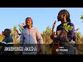 Download Lagu AMABHUNGU AMASHA 2023 CD PROMO