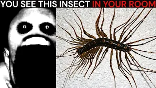 mr incredible becoming uncanny meme you see this insect in your room 30 phases