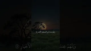 أنا وجدناه صابرا محمد النقيدان 