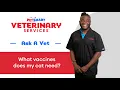The Cat Vaccines You May Need PetSmart Veterinary Services