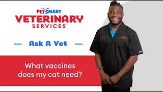The Cat Vaccines You May Need PetSmart Veterinary Services