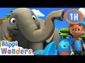 Download Lagu 🐘 Blippi learns about Elephants🐘 | Animals for Kids | Animal Cartoons | Funny Cartoons