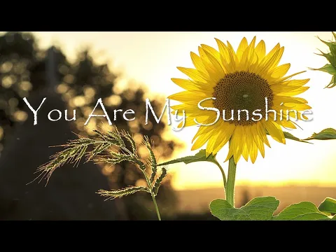 Download MP3 You Are My Sunshine - Lullaby Song (1 Hour Relaxing Sleep Music) Cover By Jemma Johnson