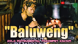 baluweng tarompet mang ardi virall di tiktok