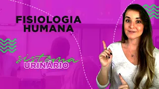 FISIOLOGIA HUMANA - SISTEMA URINÁRIO l Prof. Louise Medeiros