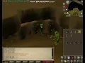 Rogue s Purse LOCATON - Jungle Potion Quest