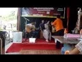 Download Lagu Putroe Bungsu Band (Pidie)